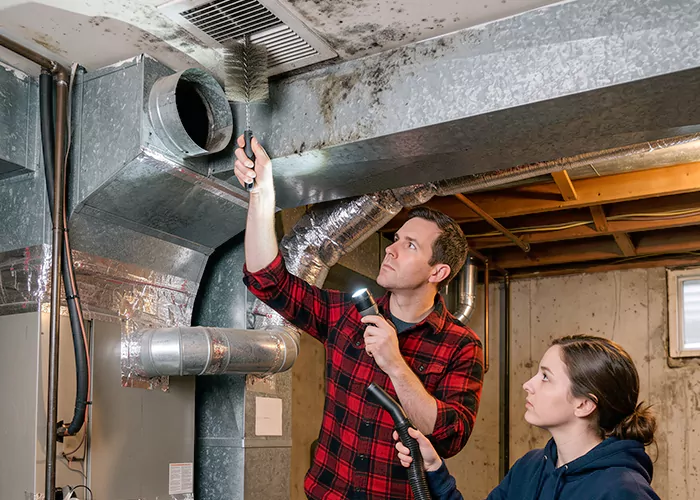 Premier HVAC Mold Remediation Company in Edison